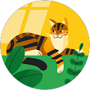 Yanjun profile picture